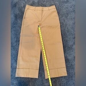 LOFT NWT Petite tan wide leg pants